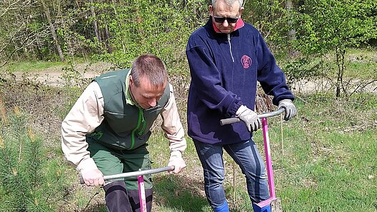 Pflanzaktion SBB Gewerkschaftswald 2026 Moritzburg