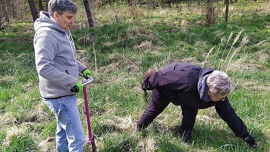 Pflanzaktion SBB Gewerkschaftswald 2026 Moritzburg