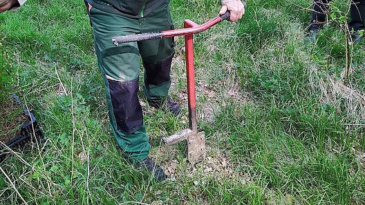 Pflanzaktion SBB Gewerkschaftswald 2026 Moritzburg