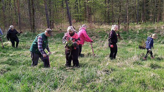 Pflanzaktion SBB Gewerkschaftswald 2026 Moritzburg
