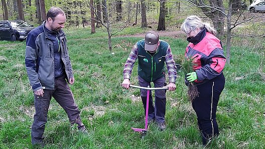 Pflanzaktion SBB Gewerkschaftswald 2026 Moritzburg