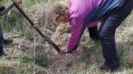 Pflanzaktion SBB Gewerkschaftswald 2026 Moritzburg