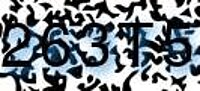 grafischer Sicherheitscode