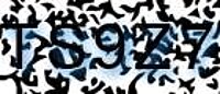 grafischer Sicherheitscode