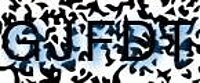 grafischer Sicherheitscode