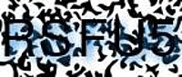 grafischer Sicherheitscode