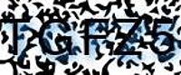 grafischer Sicherheitscode