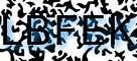 grafischer Sicherheitscode