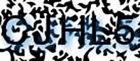 grafischer Sicherheitscode