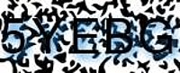 grafischer Sicherheitscode