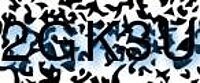 grafischer Sicherheitscode