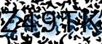 grafischer Sicherheitscode