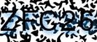 grafischer Sicherheitscode