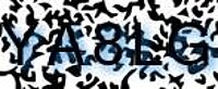 grafischer Sicherheitscode