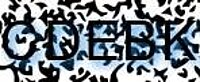 grafischer Sicherheitscode