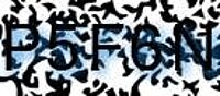 grafischer Sicherheitscode