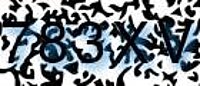 grafischer Sicherheitscode