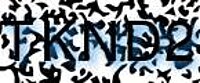 grafischer Sicherheitscode