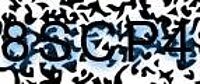 grafischer Sicherheitscode