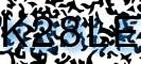 grafischer Sicherheitscode