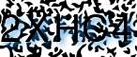 grafischer Sicherheitscode