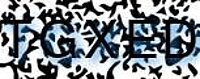 grafischer Sicherheitscode