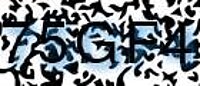 grafischer Sicherheitscode