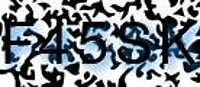 grafischer Sicherheitscode
