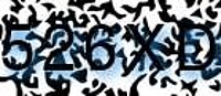 grafischer Sicherheitscode